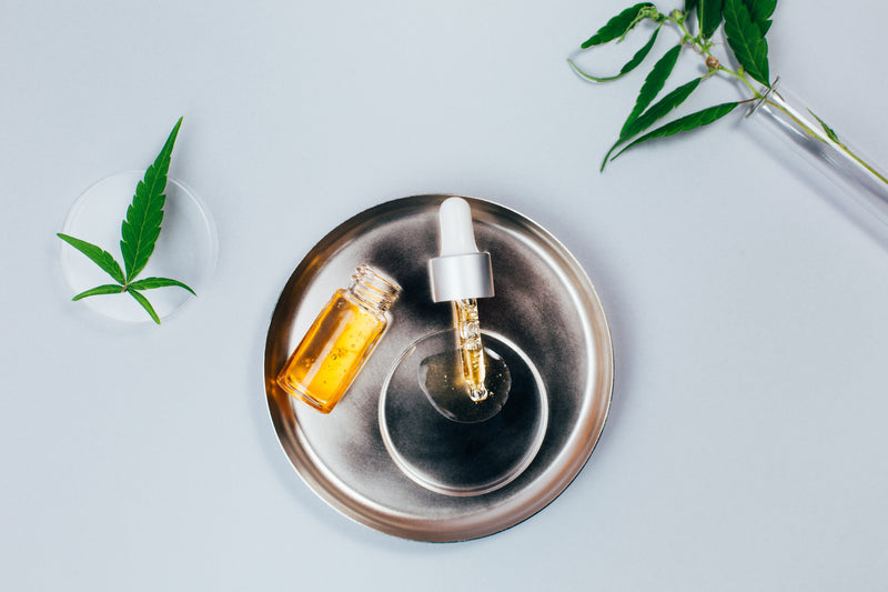 Weltvegantag: Warum vegane Pflege Sinn macht – für dich & die Umwelt